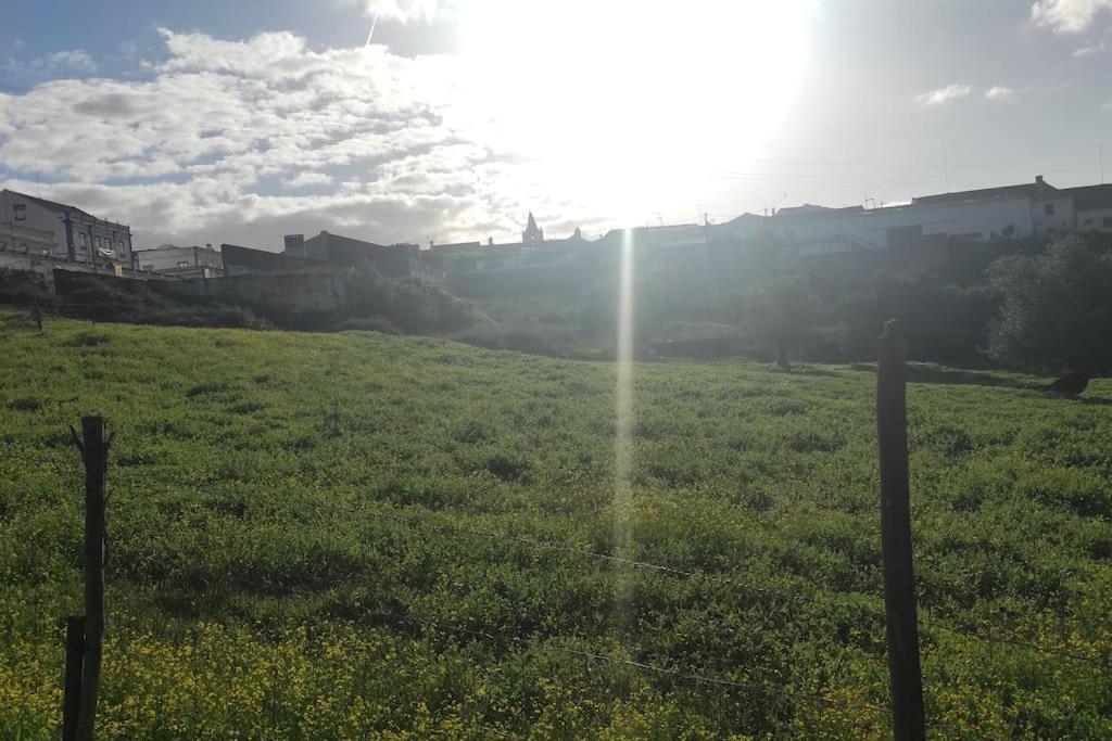 Вилла Nova Quinta Moderna Torramo Em Oliveiras, Campo De Laranjas, Na Nacional 2, Alentejo 13750 M2 Торран Экстерьер фото