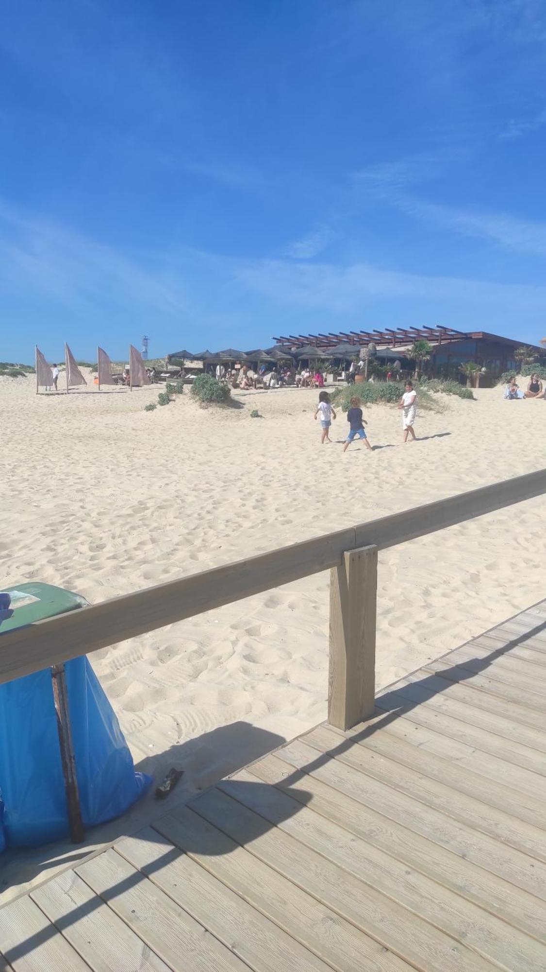 Вилла Nova Quinta Moderna Torramo Em Oliveiras, Campo De Laranjas, Na Nacional 2, Alentejo 13750 M2 Торран Номер фото