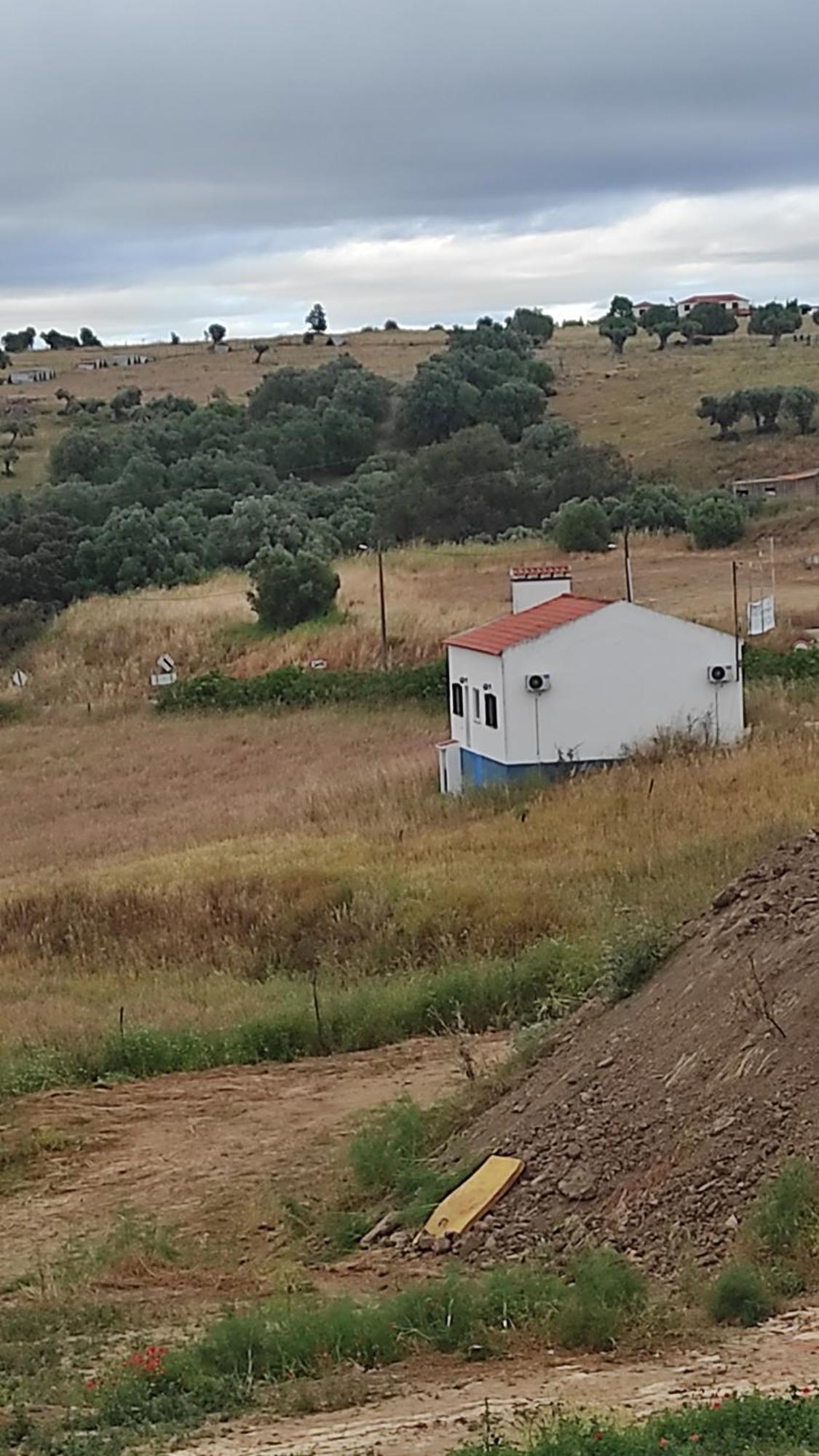 Вилла Nova Quinta Moderna Torramo Em Oliveiras, Campo De Laranjas, Na Nacional 2, Alentejo 13750 M2 Торран Экстерьер фото