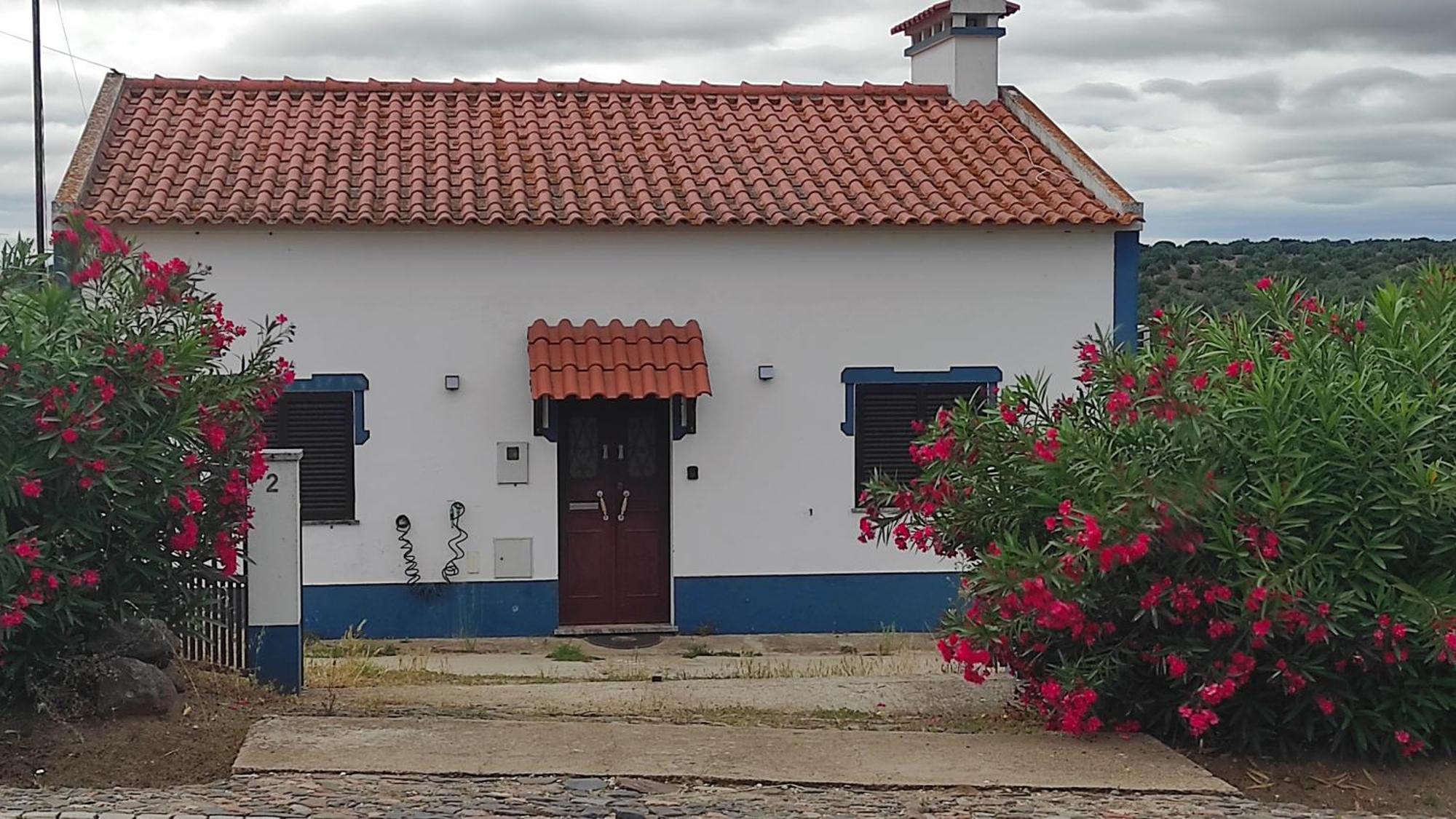 Вилла Nova Quinta Moderna Torramo Em Oliveiras, Campo De Laranjas, Na Nacional 2, Alentejo 13750 M2 Торран Экстерьер фото